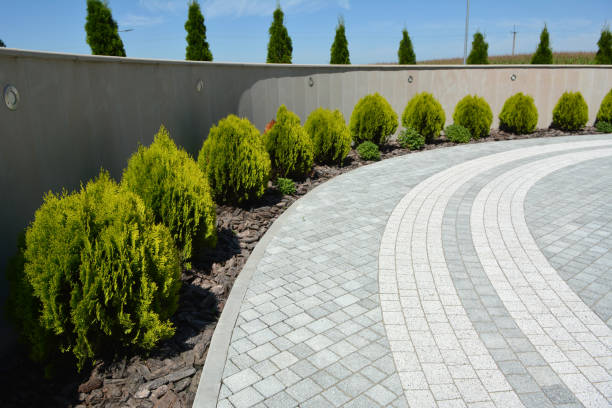 Reasons to Select Us for Your Driveway Paving Requirements in Sealy, TX
